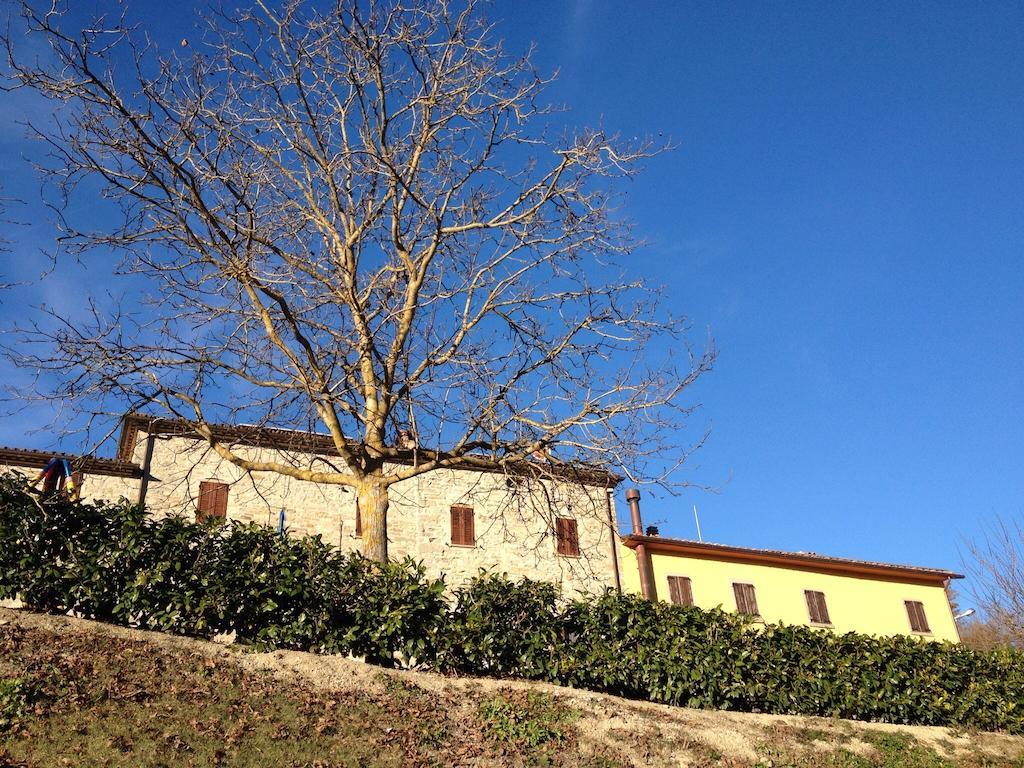 Agriturismo Cailuca ピエトラルンガ エクステリア 写真
