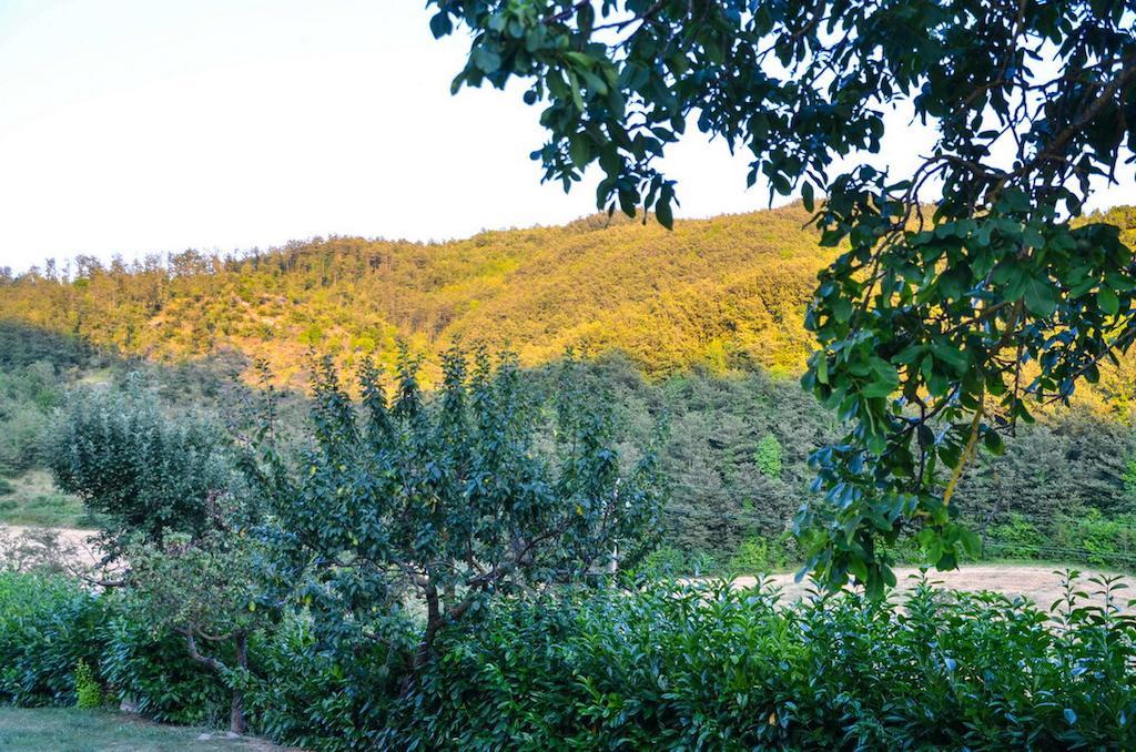 Agriturismo Cailuca ピエトラルンガ エクステリア 写真